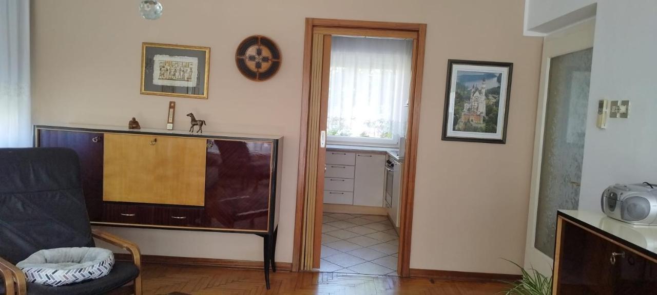 7 Flower Street Apartment Sempeter pri Gorici Exteriör bild