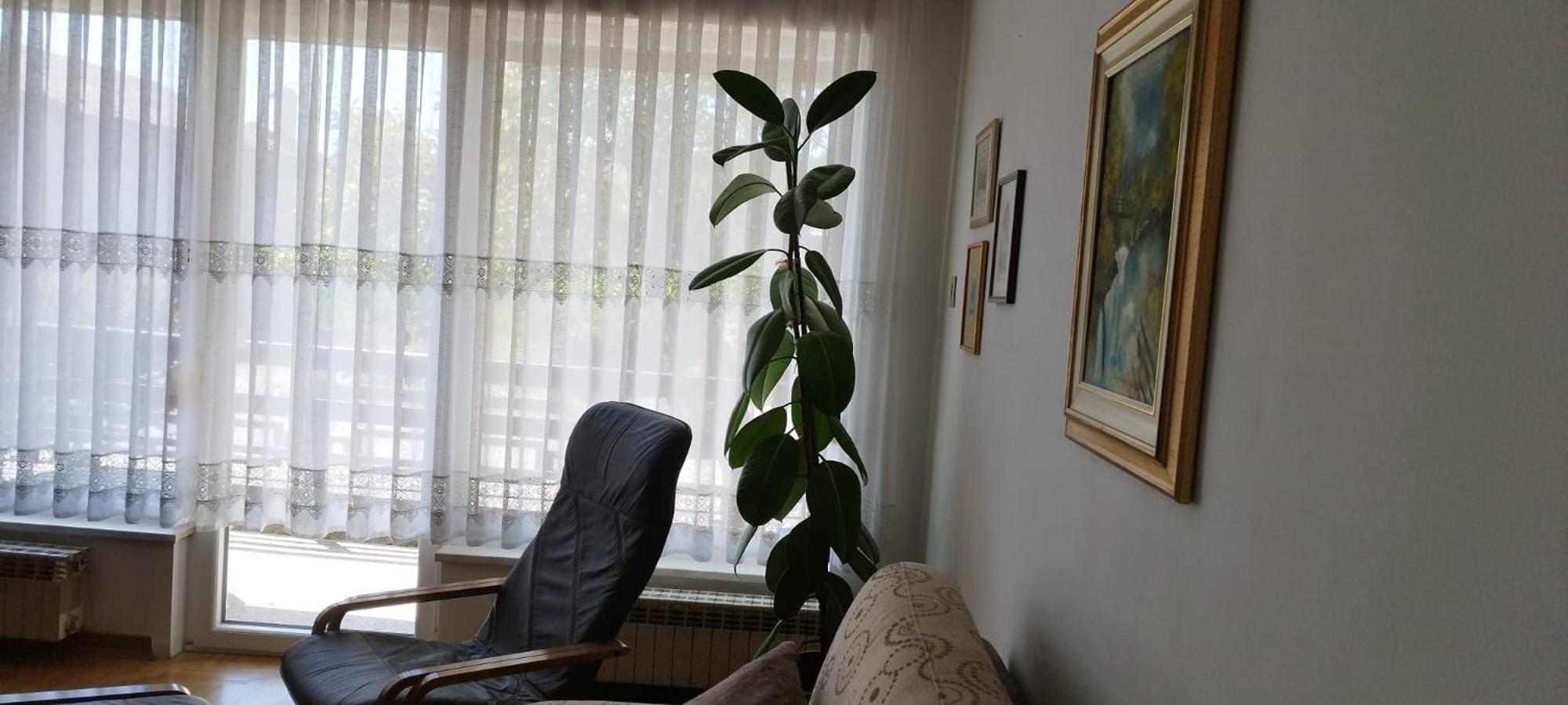 7 Flower Street Apartment Sempeter pri Gorici Exteriör bild